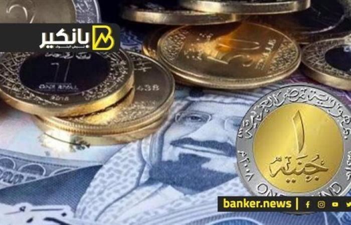 تبادل العملات لتخفيف الضغط على الدولار.. عهد جديد من التعاون المصري السعودي