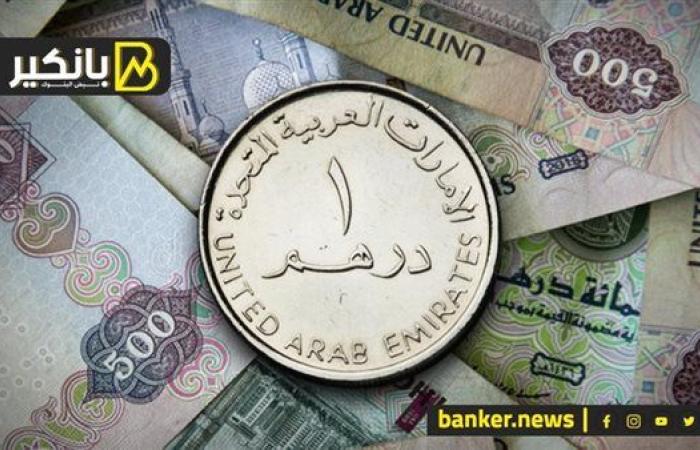 سعر الدرهم الإماراتي أمام الجنيه المصري في تعاملات اليوم الخميس 19-9-2024