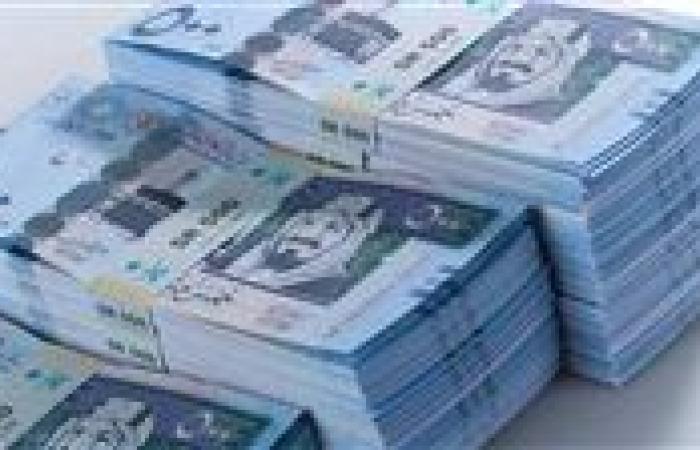 استقرار سعر الريال السعودي اليوم الجمعة 20-9-2024 مقابل الجنيه المصري