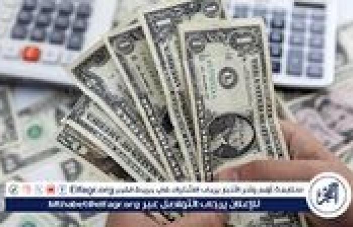 الدولار يواصل استقراره أمام الجنيه المصري.. قراءة في الأسعار والتوقعات