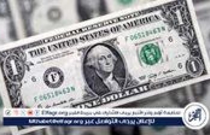 استقرار سعر الدولار أمام الجنيه المصري في الأسواق اليوم