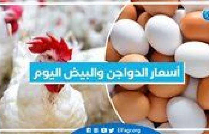 أسعار الدواجن والبيض اليوم السبت 21-9-2024 بمحافظة البحيرة