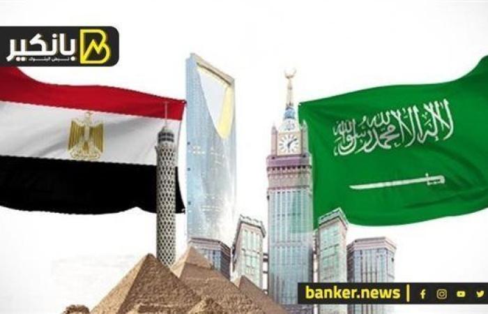 ليفيل الوحش.. إيه حكاية العملاق المصري السعودي الإماراتي الجديد