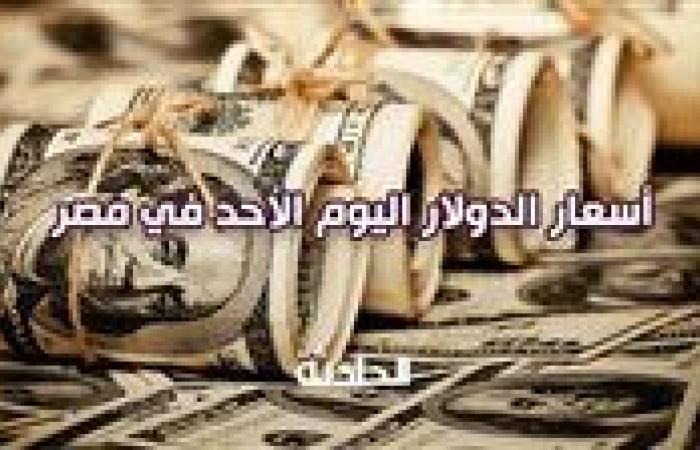 48.59 جنيه للبيع.. استقر سعر الدولار اليوم الأحد في مصر أمام الجنيه