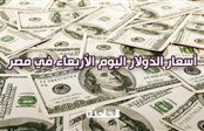 استقر سعر الدولار اليوم الأربعاء في مصر أمام الجنيه