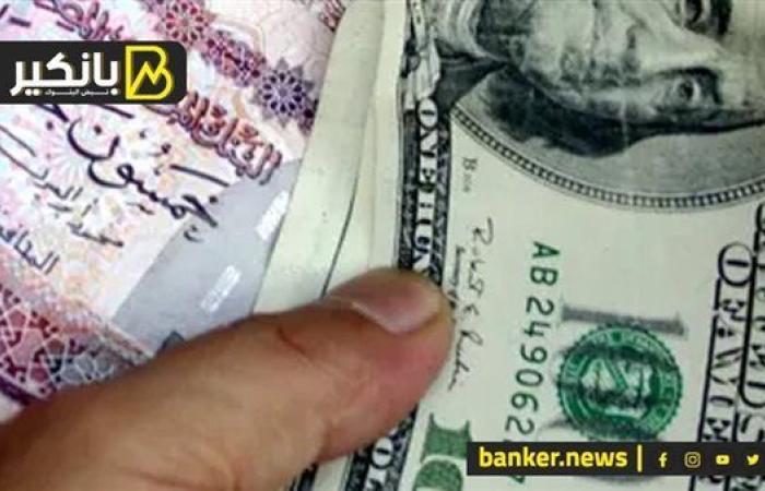 سعر الدولار أمام الجنيه المصري في تعاملات اليوم الأحد 29-9-2024