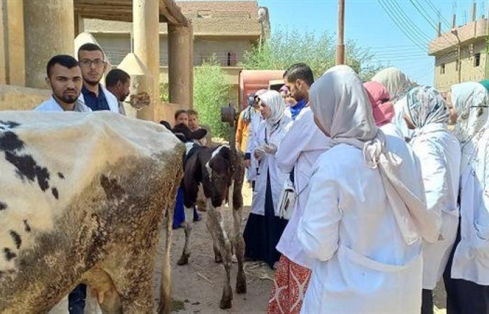 جامعة سوهاج تواصل قوافلها البيطرية المجانية بقرية أولاد عزاز وتعالج 834 حالة