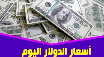 سعر الدولار الامريكي اليوم الثلاثاء 21 مايو 2024 في السوق السوداء لحظة بلحظة مقابل الجنية المصري